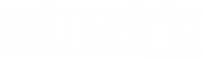 logo white
